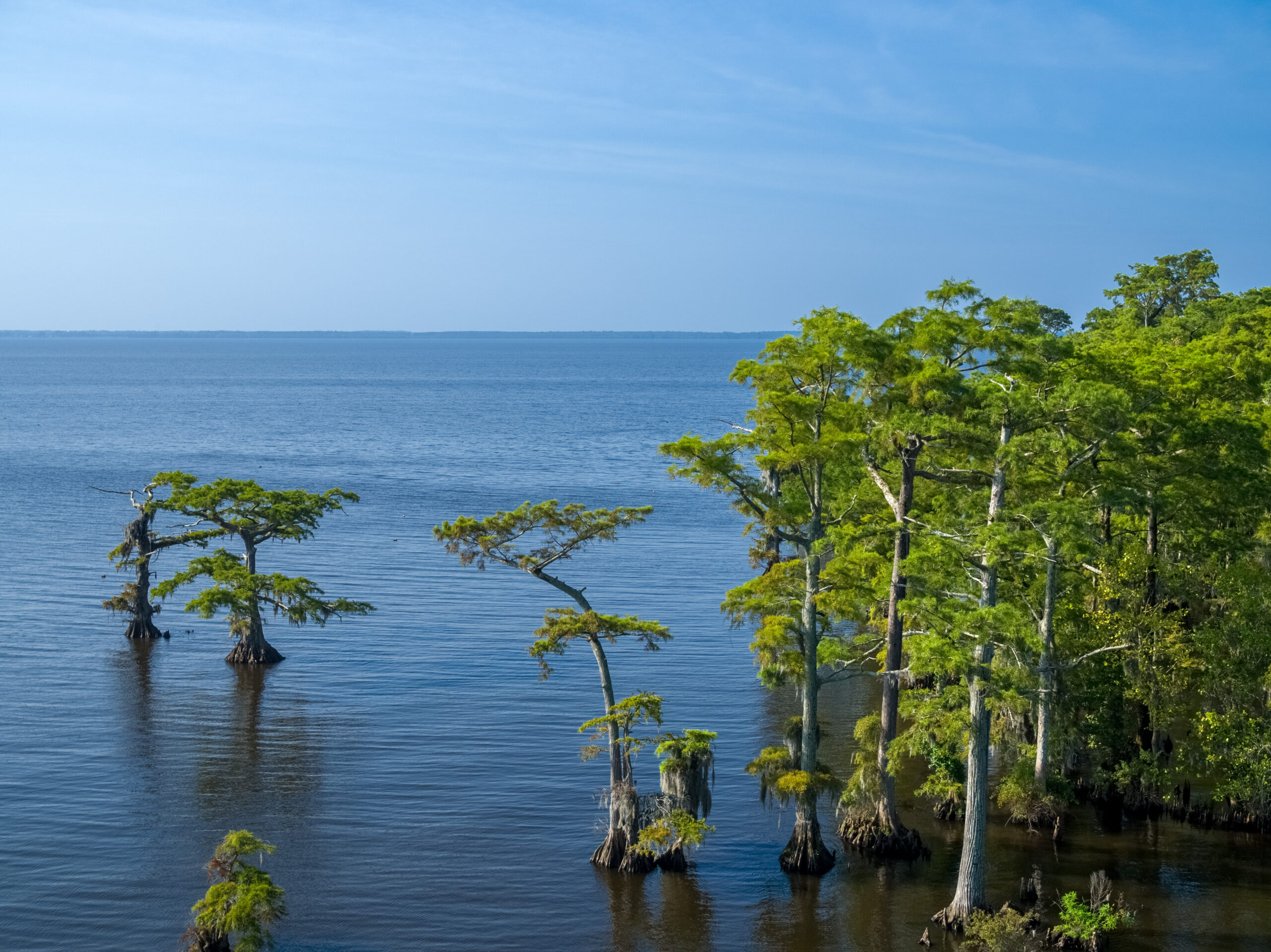 Occano Shoreline