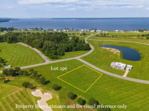 Lot 296 Drone