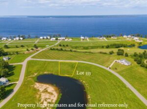 Lot 333 Drone
