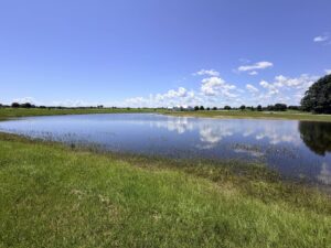Regency 333 Pond